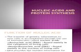 Nucleic Acids and Protein Synthesis ppt.pdf