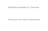 Epidemiology in Cancer