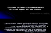 33873_small Bowel Obstruction vs Ileus