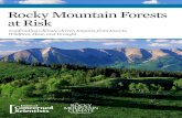 Rocky Mountain Forests  at Risk
