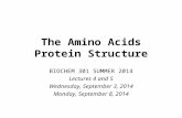 Brian Coggins Lecture 4- Amino Acids and Protein Structure