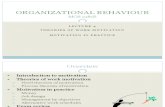 Organizational Behaviour Lecture Summary
