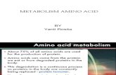 IT12 YTR Metabolism of Amino Acid