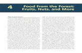 Farming the Woods - Sample from Chapter 4: Food from the Forest