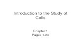 1 - Cell Biology –Intro to Cell Biology