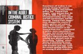 Youth in Adult Criminal Justice System
