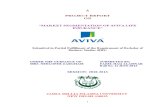 Market Segmentation of Aviva Life Insurance