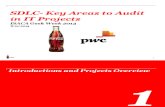 SDLC Key Areas to Audit in IT Projects