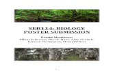 SEB114 Biology Report Final