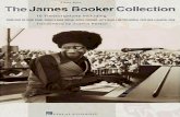 James Booker Collection, The