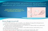 Midtrimester Preterm Prelabour Rupture of Membranes (PPROM) English