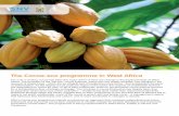SNV Cocoa-Eco Programme in West Africa
