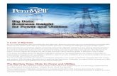 Big Data Business Insight for Power and Utilities
