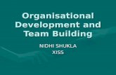 Team Building and organisational Development