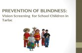 LTVision Screening Lecture for Teachers