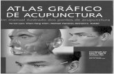 Atlas Acupunctura