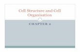 Cell Structure and Cell Organisation (Edit)