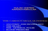Kuliah Sistem Kardio Vaskular