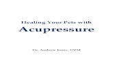 Healing Your Pets With Acupressure