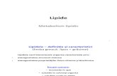 Metabolism Lipidic 1