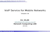 6- VoIP Service