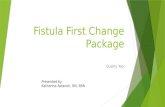 Fistula First Change Package: Summary