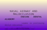 Nasal Airway and Malocclucion / orthodontic courses by Indian dental academy