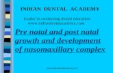 Pre Natal and Post Natal / orthodontic courses by Indian dental academy