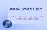Sindrom Nefritis Akut
