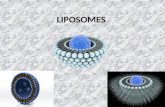 LIPOSOMES (2)