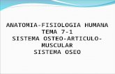 7 1 Sistema Osteoarticulo Muscular Oseo