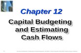 502331_Capital Budgeting and Estimating Cash Flows (1)