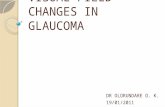 Visual Field Changes in Glaucoma