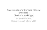 Proteinuria and Chronic Kidney Disease