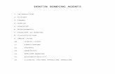 Copy of Dentin Bonding Agents1 / orthodontic courses by Indian dental academy
