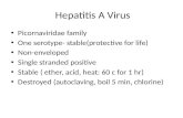 Virology of Hepatitis A