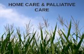 K - 6_Home Care & Paliative Care
