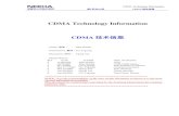 CDMA Theory Nokia Technical Material Chinese(Share)