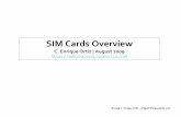 SIM Cards Overview
