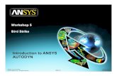 Ansys Autodyn 121 Workshop 05
