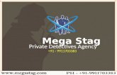 Matrimonial Detective Agencies in Delhi | Private Detective service