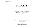 Programa Flaut