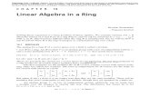 Ch 14 - Linear Algebra in a Ring