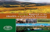 Colorado 2013 Forest Health Report