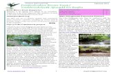 Pembrokeshire Rivers Trust February 2014 Newsletter