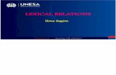 Ilma Lexical+Relations