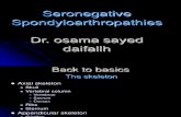 Spondyloarthropathy Presentation 2