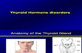 Thyroid H Disorders