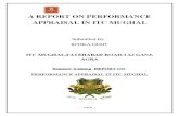 Report on Performance Appraisal - Copy