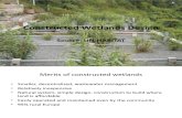 Constructed Wetland - Copy